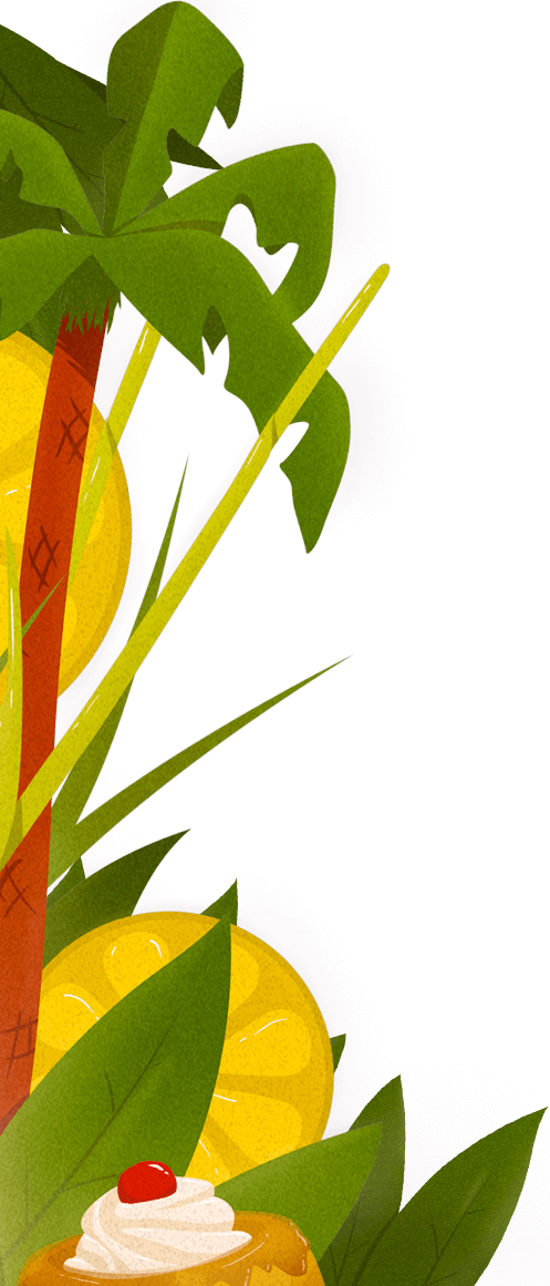 Illustration palmier