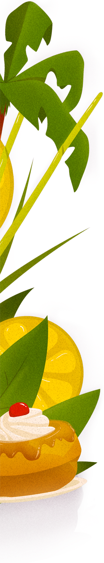Illustration palmier