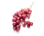 raisins macérés au rhum Negrita