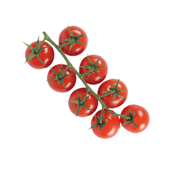 tomates cerises